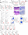 Ire1αΔRorc mice are highly susceptible to C. difficile infection.