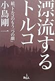 漂流するトルコ―続「トルコのもう一つの顔」