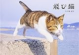 飛び猫