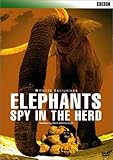 BBC WILDLIFE EXCLUSIVES Elephants Spy in the Herd エレファント・プライベート [DVD]