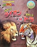 百獣の王ライオン対密林の王トラ―動物ガチンコ対決