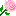 薔薇（ピンク）