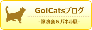 gocats_blog