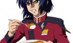 【ガンダム×ココイチ】アスラン「カレーは俺を殺そうとしている！！！！！！１１！！」