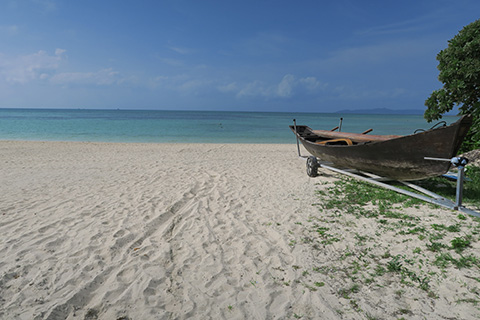 hf's アジア旅行記 チベット、インド、ブータン、東南アジア全般などアジア各地域の旅行記です。