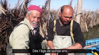 La pêche à la charfiya aux îles Kerkennah