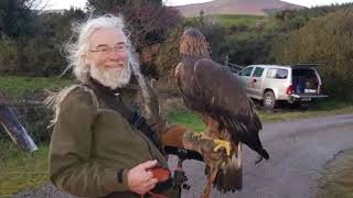 Falconry, a living human heritage