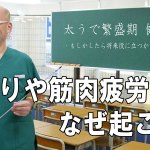 今回のお題は肩こりです