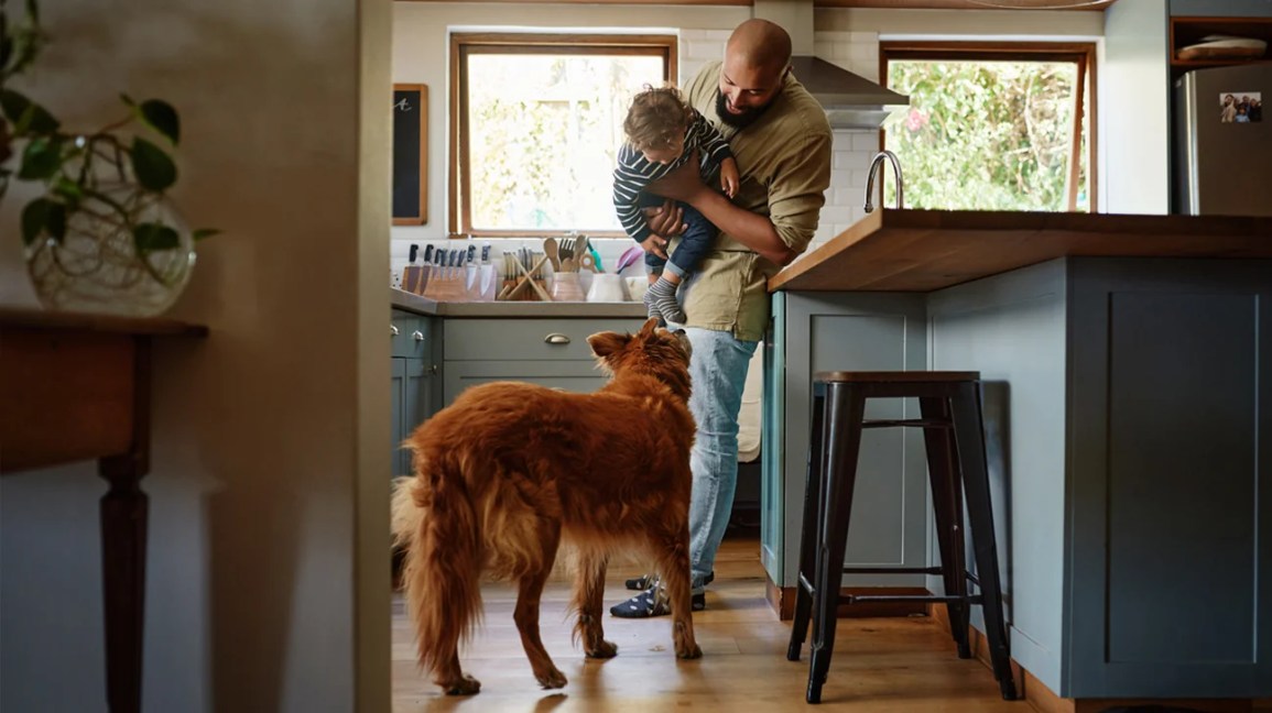 can fleas live on humans, father and son with their dog