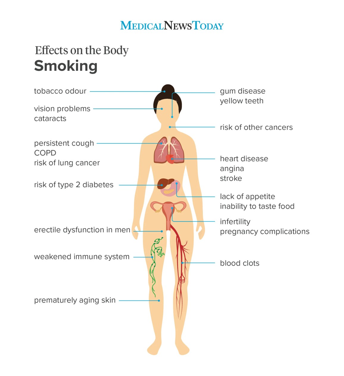 an effects on the body infographic showing the effects on the body of smoking