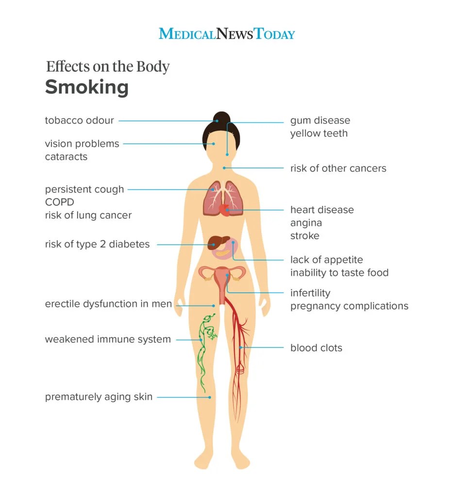 infographic showing the effects of smoking on the body