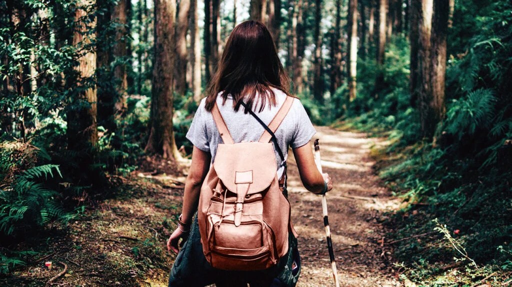 A rear view of a female hiker walking on a footpath in a forest