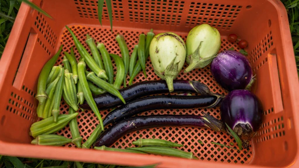 A shopping basket with fresh produce