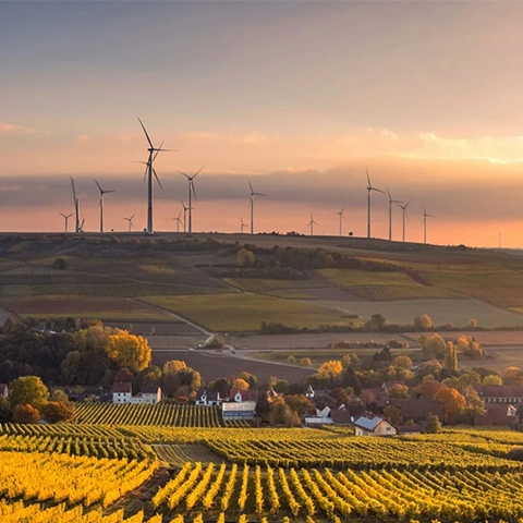 Wind turbines on a hill