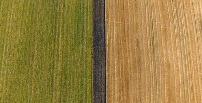 Aerial view of a road dividing two agricultural fields, one green and one beige