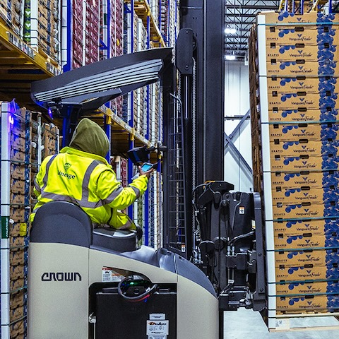 Person working at the warehouse