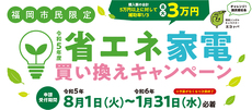 終了間近?。。。＜補助金で有機ELテレビ買いました＞こんな補助金あったのね！