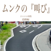 ムンクの『叫び（さけび）』に見えると話題の沖縄の道路【宜野座村】