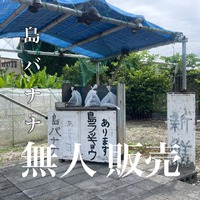 島バナナ無人販売【沖縄本島】無人販売編