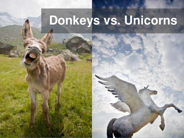 Donkeys versus Unicorns: Image of a donkey and a unicorn.