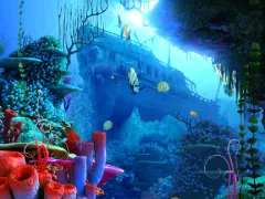 Coral Reef