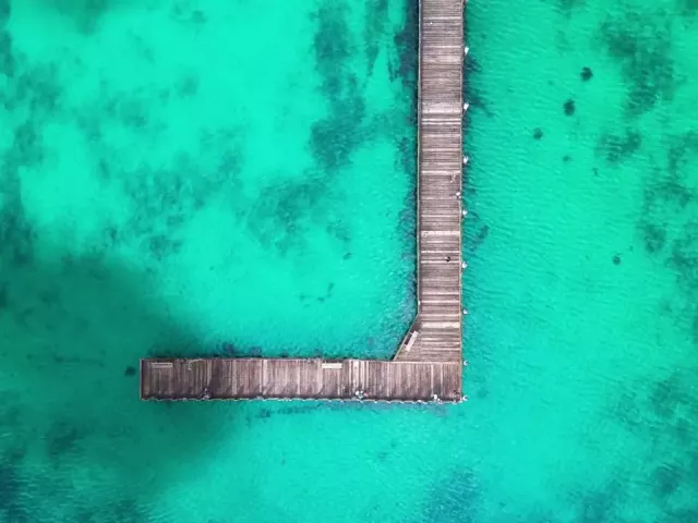 Live wallpaper «The Dock: Paradise»