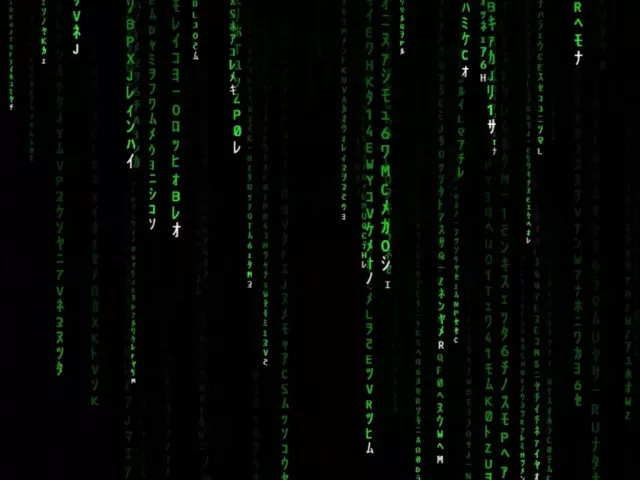 Live wallpaper «Matrix Code Rain 4k»