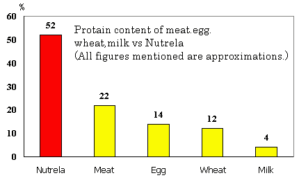 たんぱく質含有量比較グラフ
