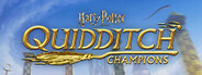 Harry Potter : Champions de Quidditch