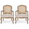 Biorn French Country Upholstered Dining Armchair, Beige + Natural, Set of 2