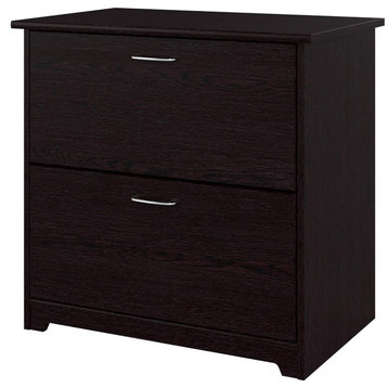 2-Drawer Lateral File Cabinet for Letter, Legal, and A4 Documents in Home Office, Espresso Oak