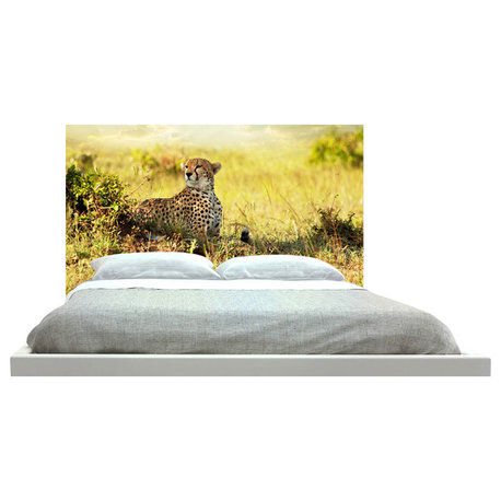 "Cheetah" Headboard