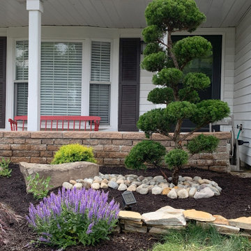 Bonsai Garden Trees for sale