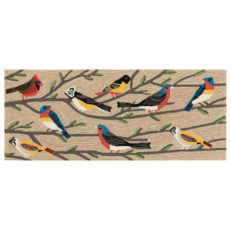 Frontporch Birds Indoor/Outdoor Rug Multi 2'x5'