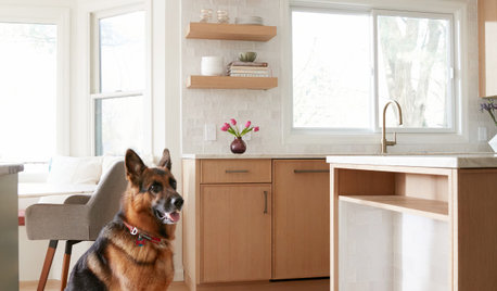 5 Popular Home Design Ideas for Pet Owners