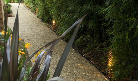 The 3 Top Ways to Light Up Your Landscape