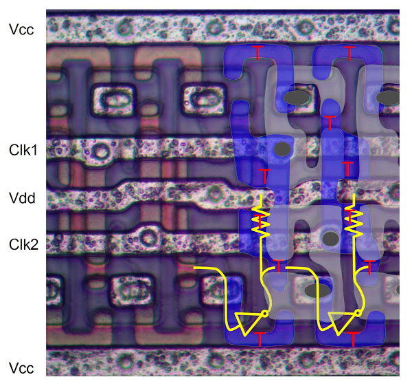 Close up of the cells in an Intel 1405 512-bit shift register memory. The actual photo is on the left, and the circuit is drawn on the right.