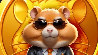 Hamster Kombat Daily Cipher Codes and Combo Cards for 05 September, 2024: Unlock up to 1 million coins (Updated)