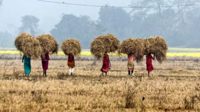 Economic survey 2025 calls for policy reforms to boost agricultural growth and sustainability