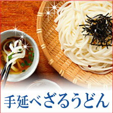 【10P23Apr16】ざるで食べる為だけに造り出しました！手延べざるうどん10袋入