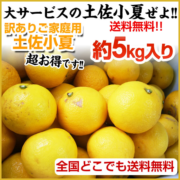 5月20日(水)更新 (集計日：5月11日〜5月17日) 日向夏ランキング1位！ありがとうございます！美味しい小夏！【送料無料】 ご家庭用♪高知産：土佐小夏：約5kg♪ 日向夏・ニューサマーオレンジ！沖縄離島は、別途1000円配送料がかかります！