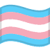 transgender flag