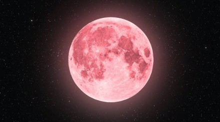 Will the moon appear pink over a few days?