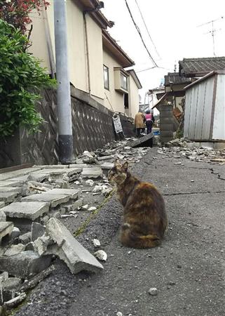 「人の飲水も無いのに犬に飲ませるのか」被災地でペット持ちに非難殺到