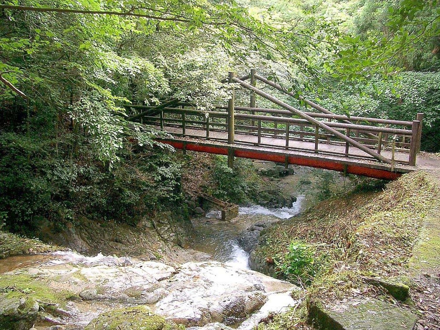 油山市民の森