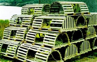 Although globally, lobster production is dwarfed by finfish, seaweed, and mollusk production, lobster fisheries are critical to local and regional economies. These lobster traps in Nova Scotia, Canada await next year's fishing season.