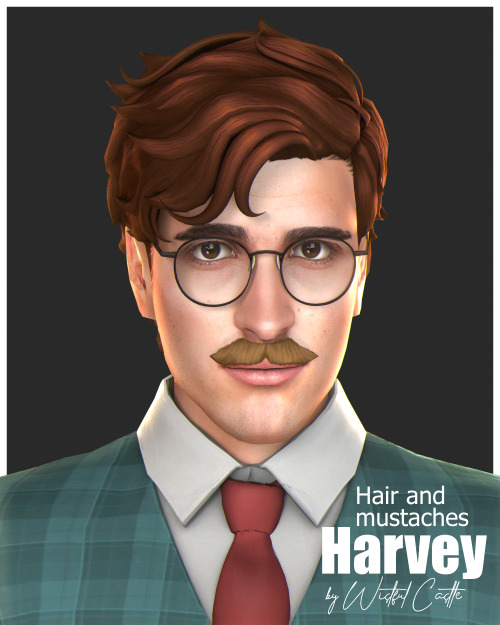 Since I wasn’t happy with my first version of Harvey I decided to redo him completely! Also made his hairstyle and mustaches for more authentic appearance^^
* Harvey Hair - base game compatible unisex hairstyle, all LOD’s, all maps, 30 EA...