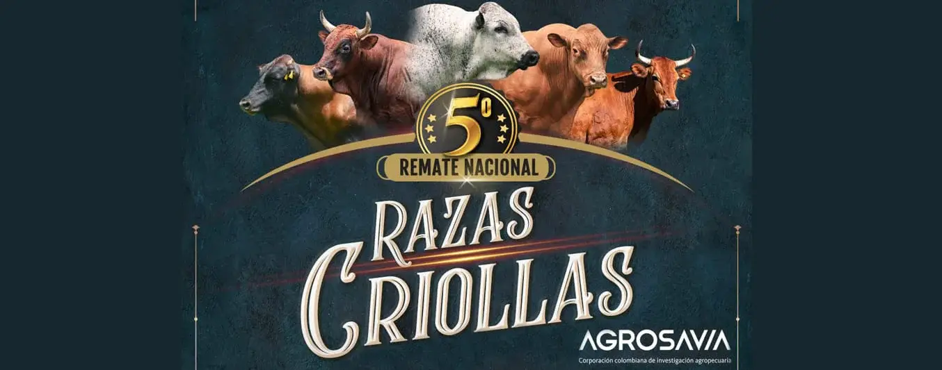 Remate razas criollas