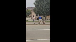 Large ostrich stops traffic in the middle of the street - Fox News