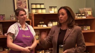 Kamala Harris visits anti-Republican spice shop, says we need to end 'division' - Fox News